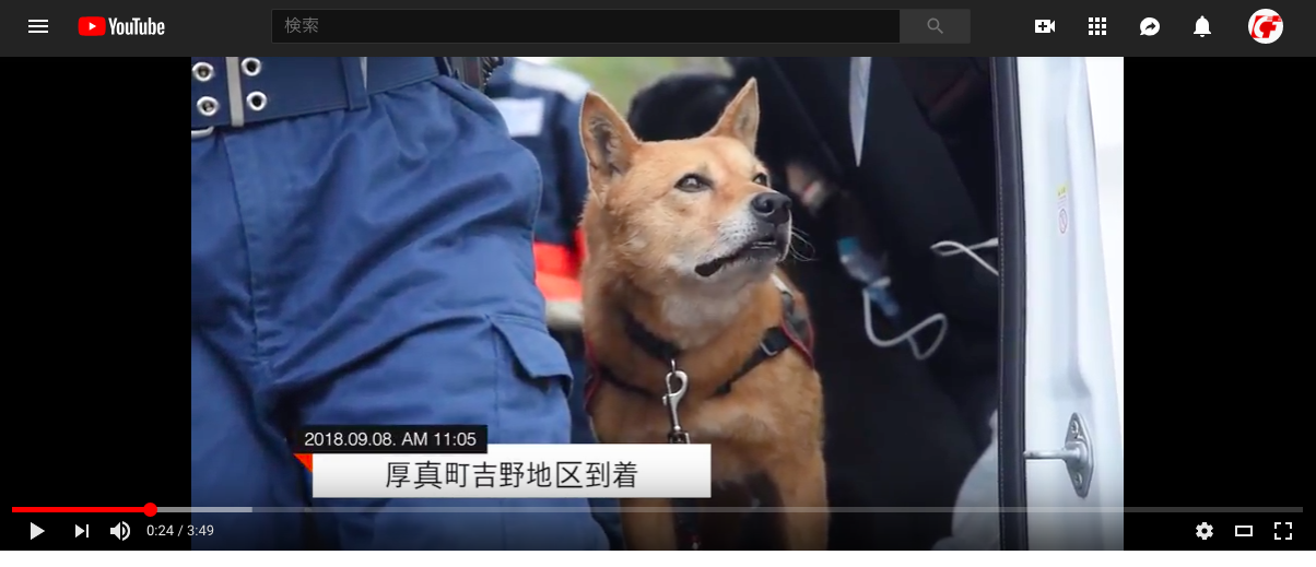 スクリーンショット 2018-09-10 23.13.23.png